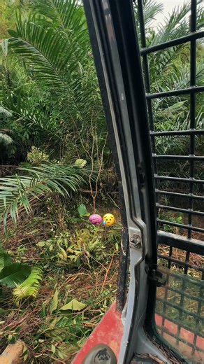 frisko_exc (@frisko_exc)’s videos with original sound - 𝙃𝙖𝙢ز𝙖 🎥