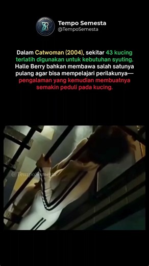Bisa begitu doi🙄, Dalam Catwoman (2004)