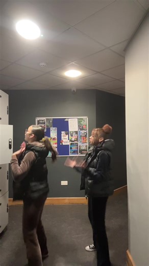 Exciting Bashment Dance Moves to Try Now