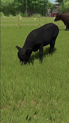 Goats and water buffalo are new to Farming Simulator 25!