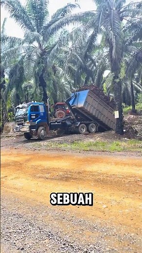 Transportasi kelapa sawit menggunakan metode BIN sistem