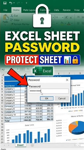 Excel Sheet me Password kaise lagaye”#Excel#ExcelTips#ExcelTrick#ExcelShorts#MSExcel