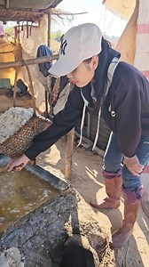 เกลือต้ม #reels #lifestyle #villagelife #laos #ดรีมสาวลาว | ดรีมสาวลาว Family