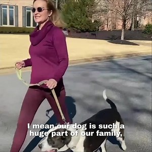 131K views · 8.1K reactions | Get qualified to live and travel almost anywhere with your pet in 3 easy steps (even if they have a “no pets” policy). Qualify online and instantly! Get doctor approval in 48 hours (or less) | Support Pets | Facebook