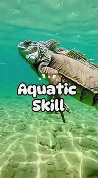Iguana Facts You Didn’t Know #shorts #iguana #facts #animals #wildlife #pets #nature #youtubeshorts
