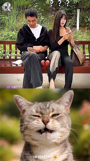 Ghost hand? 😂 #cat #funny #tiktok #memes