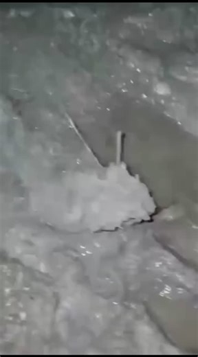 David Guevara on Instagram: "#viral #fyp #viralreels #fypシ #parati"