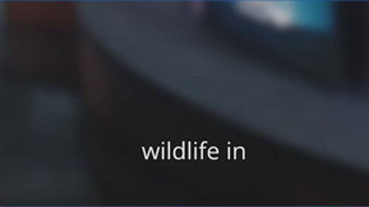 Curious cat makes a visit to the WNEP Backyard for Kurt's forecast https://www.wnep.com/video/weather/curious-cat-makes-a-visit-to-the-wnep-backyard-for-kurts-forecast/523-94399bb7-817f-4a14-adad-2aba4471a6c4?utm_medium=social&utm_source=facebook_WNEP-TV | WNEP-TV