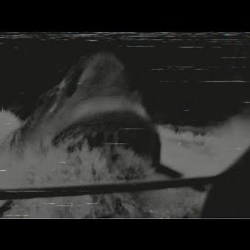 The Jaws Ride Incident (1990)- Jaws Analog Horror