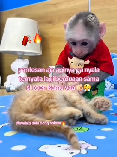 #streakreminder🔥 #foryoupage