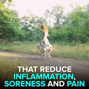 249 reactions · 95 shares | Want your dog to have healthy joints without using harmful medication?  If so, you're going to LOVE this. Made with safe, natural ingredients this joint care chew has taken America by storm. And with limited time, a huge Amazon discount - why wouldn't you try it? 爐 | PetLab Co. | Facebook