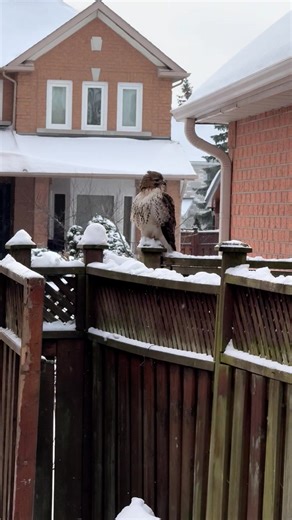 Everyone deserves a solo spa day to recharge🤍 need this at least once a month 📍(Elmwood Spa) 18 Elm St, Toronto, ON M5G 1G7 tt//📷@abeeeerr__ | Toronto Prusoth