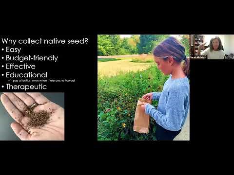 How to Collect and Sow Native Plant Seeds