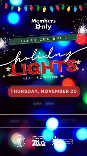✨ MEMBERS, RSVP NOW! ✨ Members Only Holiday Lights Event 📅 Thursday, November 20, 2025 ⏰ 5PM - 8PM Enjoy food, drinks, live entertainment, and more! More information coming soon! Don’t miss out on the magic—reserve your spot today! 👉 www.zoologicalsocietyofnj.org/events/lights25 | Turtle Back Zoo