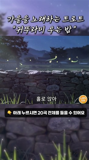 Track 01 귀뚜라미 우는 밤 😭 이 가을, 고생 많으셨습니다.. 인생의 가을을 노래하는 트로트 20곡 | 정통 뽕짝 트로트(가사포함)#shorts
