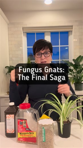 There are lots of approaches you need to take when bringing plants into your house or when dealing with an existing fungus gnat problem. Check out the first five videos in the series at the top of my page to get directions about exactly what to do for each of the solutions I talk about in this video. I can’t always respond to comments so for those of you that are experienced gardeners, please jump in and help as much as you can. I am a Garden Coach located in the northwest suburbs of Chicago. I 