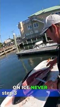 The Perfect Tuna Loin Technique Every Fisherman Needs #fishing #tunafillets #technique