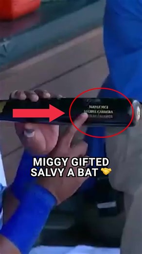 The Magic of Bats: Myth or Reality?