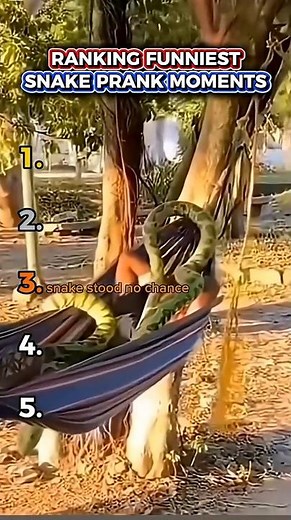 Ranking Funniest Snake Prank Moments