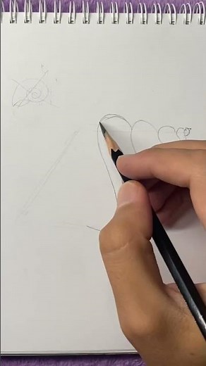 How to draw a sea shell easy method