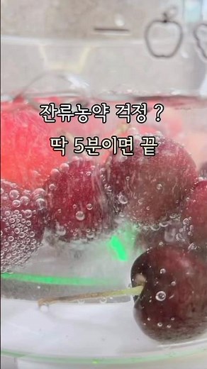 과일, 야채 딱 5분이면 잔류농약, 세균 걱정 끝‼️
