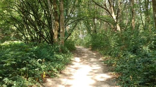 Clock, Pocket Watch, Clockwork