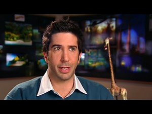 Meet the Wild Cast | Madagascar