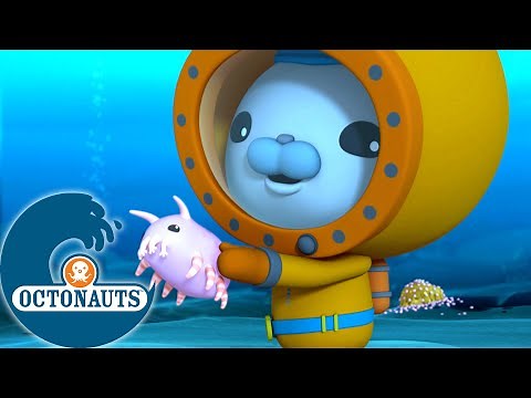 Octonauts - Les Cochons de Mer et les Crabes Yéti | Dessins animés pour enfants
