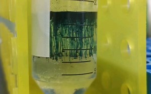 Protein loading buffer