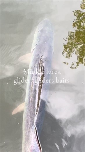 Top Muskie Lures: Gliders and Baits for Success