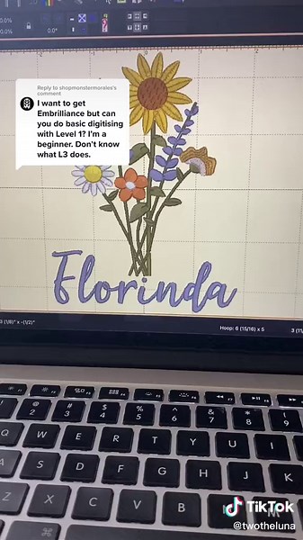 Brother PE800: Machine Embroidery for Beginners