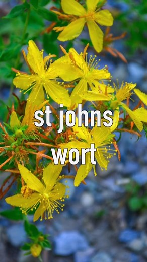 14K views · 227 reactions | #antarctica #ancient #ancient_aliens_theory #history #Nikola #alien #ancientheory #Ancient #aliens #sphinx #UFO #archaeology #ancientcivilizations | Ancient Aliens Theory | Facebook