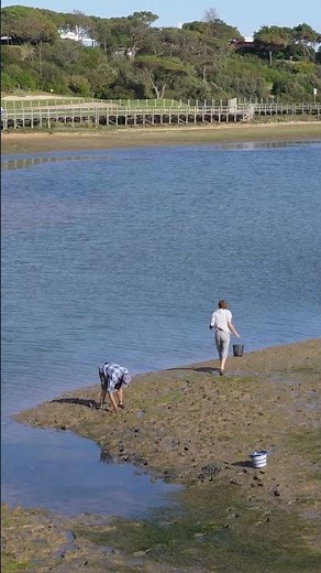 This is Ria Formosa, Algarve