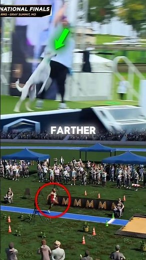 Dog vs. Long Jump World Record 😳🔥