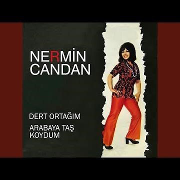 Arabaya Taş Koydum
