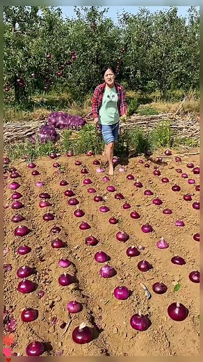 cco1116 (@cco1116)’s videos with original sound - Decompression at night