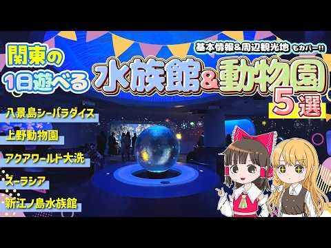 [2026 Latest Edition] The Ultimate Guide to 5 Aquariums & Zoos in Kanto for a Full Day Out! Inclu...
