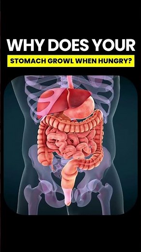 Stomach Growling when Hungry #stomachgrowling #hungry