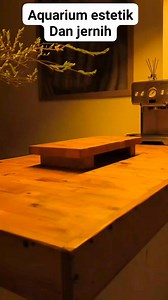 Inspirasi aquarium estetik dan jernih untuk meja kerja kalian | Aquascape lovers