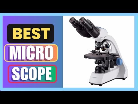Best AmScope 40X-2000X LED Binocular Compound Microscope