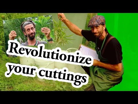 This Propagation Trick Changed My Garden—and My Life!