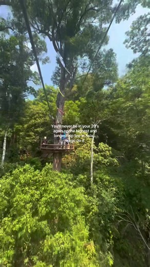 You cannot leave Chiang Mai without completing the longest AND highest zip line in Asia 😍🌳 #fyp #zipline #thingstodo #thailand