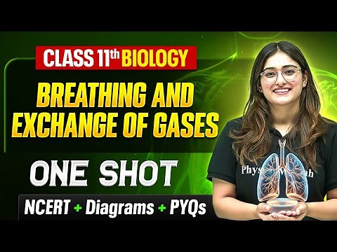 Breathing And Exchange Of Gases Class 11 One Shot 🔥 | NCERT + Diagrams | Biology Chapter 17