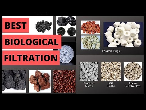 Biological Filtration Explained | Best Biological Filtration