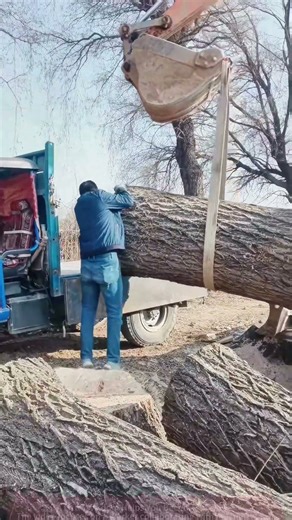 Log Transport Challenge: Human-Machine Collaboration to Load Truck
