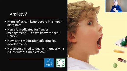 H is for Harry Analysis | Charlotte Davies