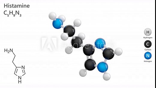 Histamine. Stimulant of gastric secretion. Animated 3D model of a molecule. Molecular formula: C5H9N3. Chemical model: Ball and stick. White background. 3D rendering. Seamless loop.