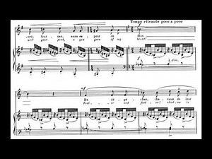 Chevaux de bois (C. Debussy) Score Animation