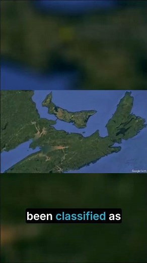 Remarkable Meteorites: Pristine, Documented, Traced!