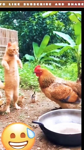 😂😂😂😂#funny #shorts